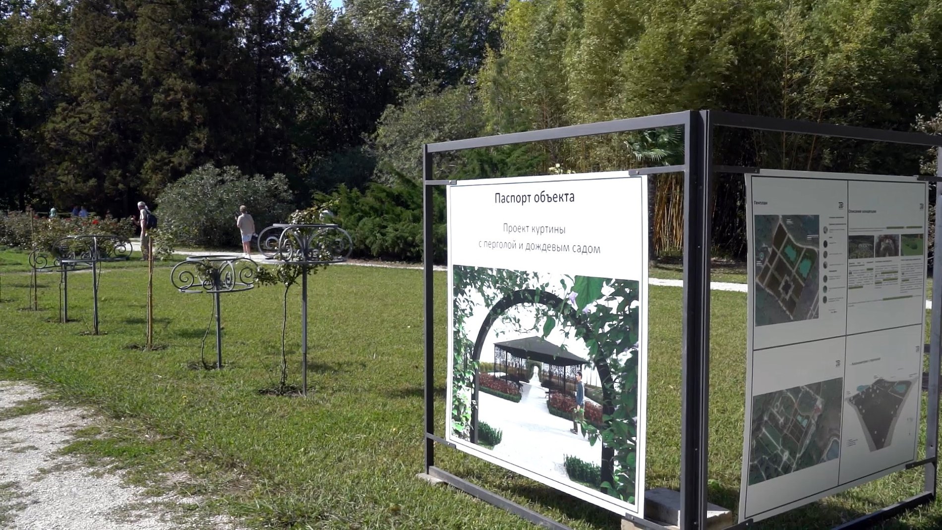 южные культуры