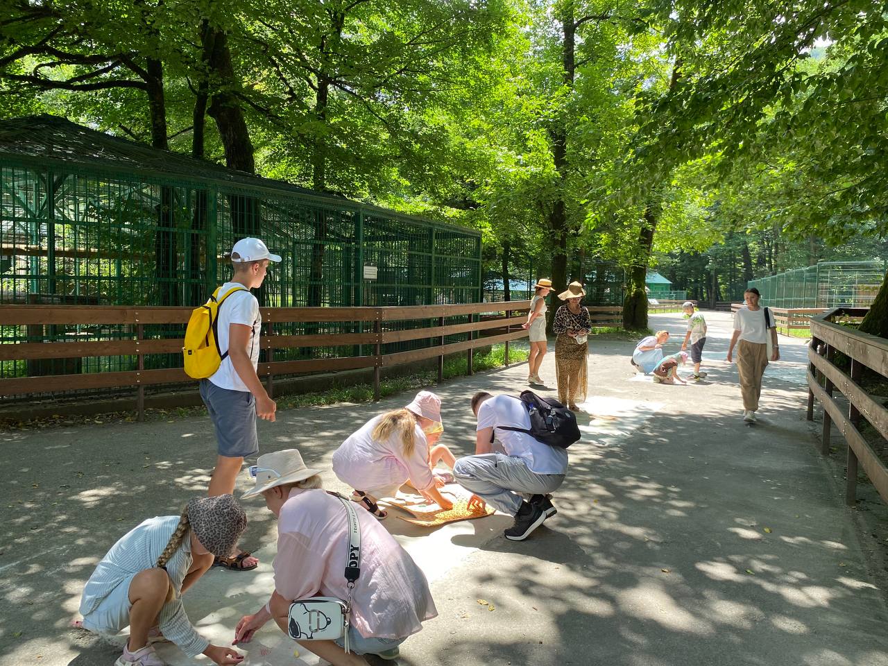 экопросвещение