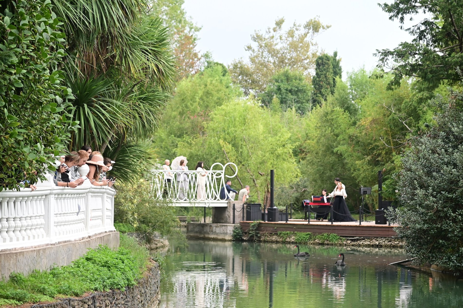 южные культуры