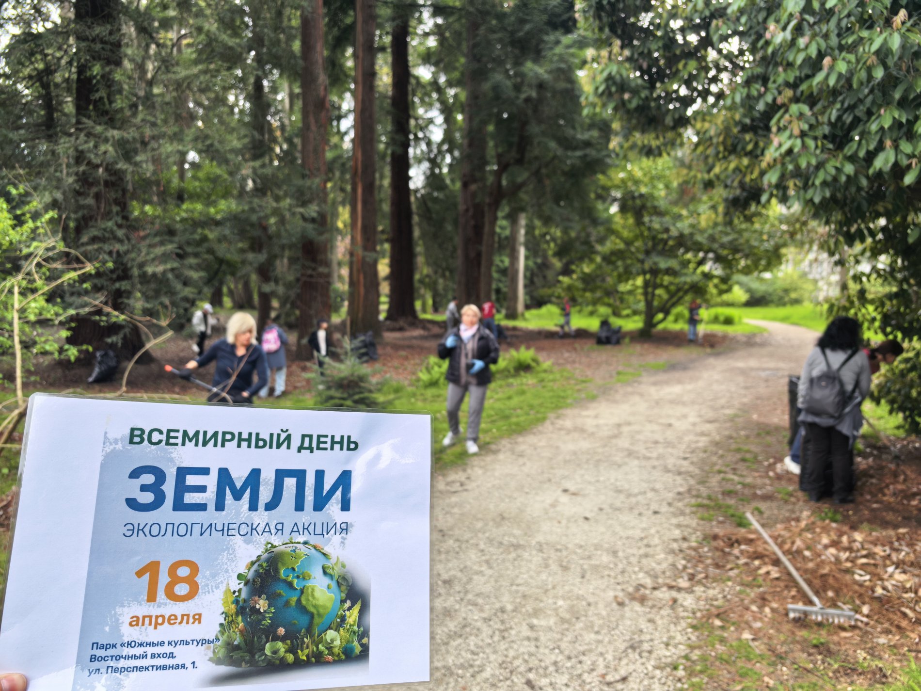 южные культуры