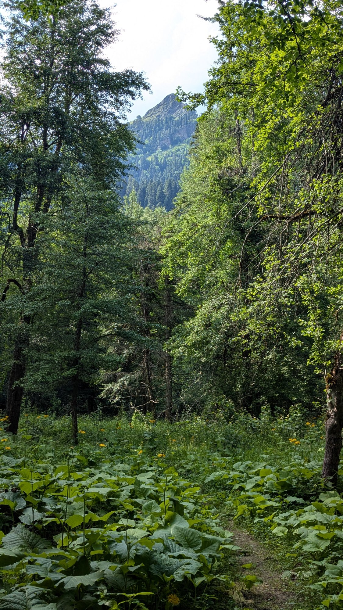 охрана