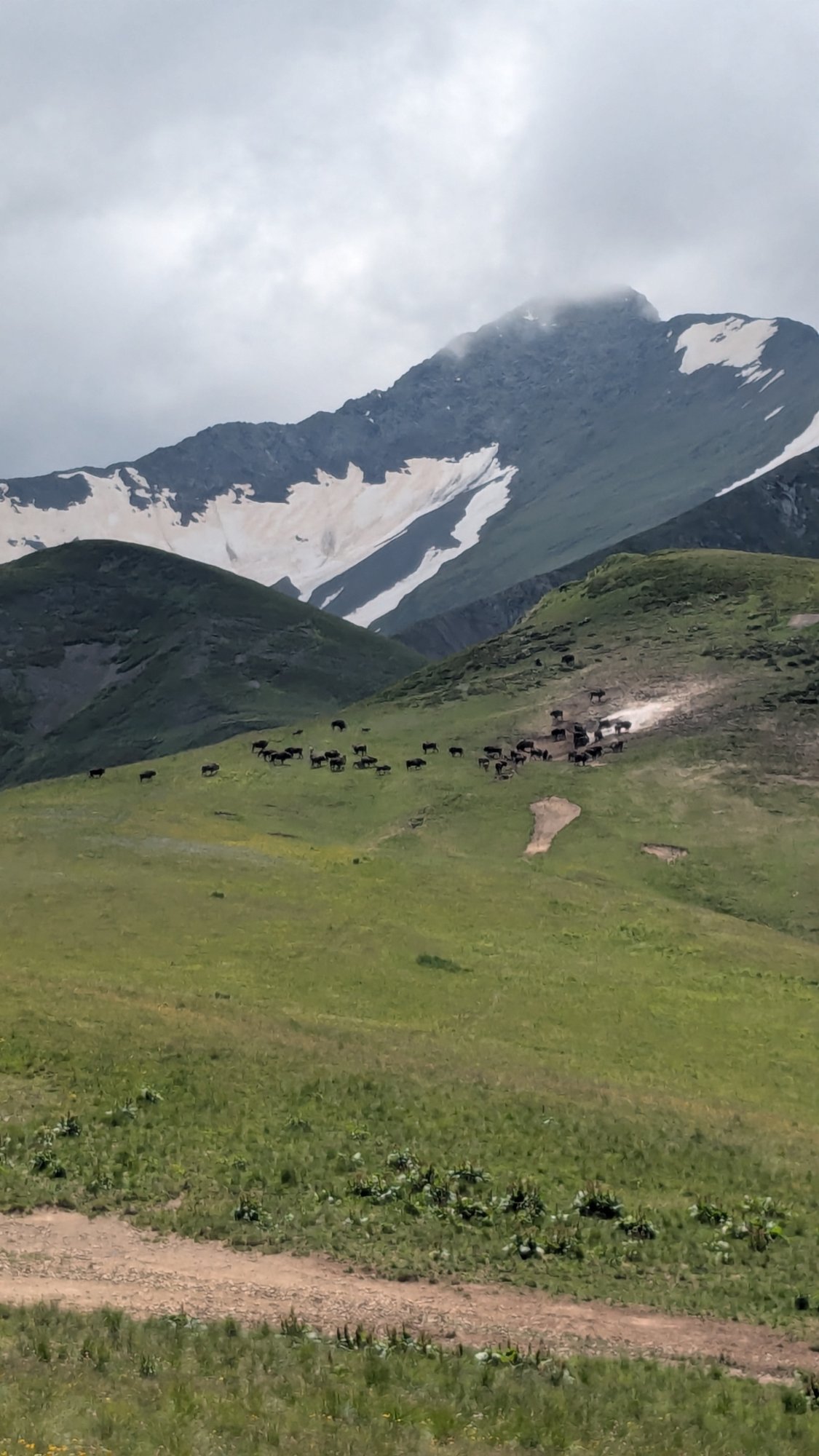 охрана