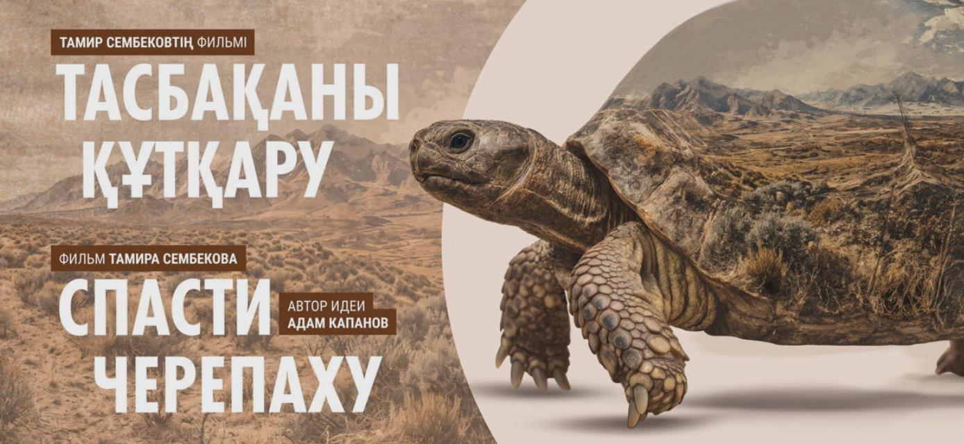 животные