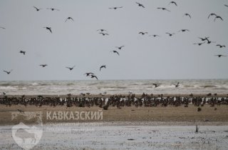 Почвенно-геоботанические экспедиции в Приазовский заказник