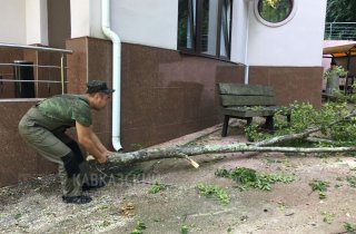 В ТИСО-САМШИТОВОЙ РОЩЕ КАВКАЗСКОГО ЗАПОВЕДНИКА УСТРАНИЛИ ПОСЛЕДСТВИЯ ШТОРМОВОГО ЛИВНЯ