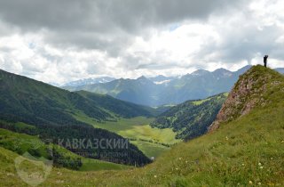 Учет зубров на участке Хребет Скирда - долина Мастакан