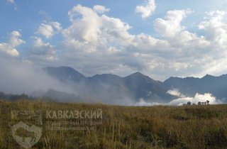 Заметки об учете оленя в Кавказском заповеднике