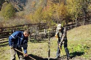 Инспекторы Восточного отдела Кавказского заповедника заложили сад на кордонах Умпырь и Закан