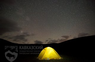 Пресс-тур "Ночной звездопад" в Кавказском заповеднике