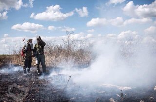 Кавказский заповедник проведет встречу с Добровольными пожарными Кубани