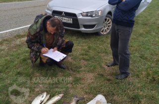 7 килограммов рыбы на 17 тысяч рублей наловил местный житель в Приазовском заказнике