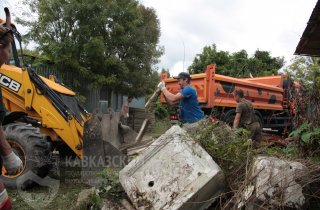 В Южных культурах началась генеральная уборка