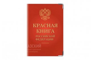 В Красную книгу РФ внесены новые виды животных, в том числе, обитающих в Кавказском заповеднике