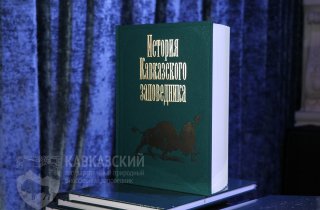 История в деталях и в одной книге