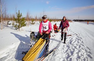 Хаски Кавказского заповедника стали чемпионами 