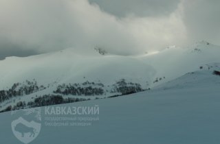 По дороге с облаками: как узнать прогноз погоды, просто взглянув на небо?