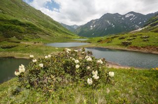 Всемирный день водно-болотных угодий отмечают 2 февраля