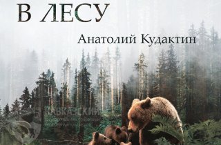 Кавказский заповедник и Storytel озвучили увлекательные книги о природе Кавказа