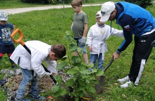 Юные спортсмены высадили деревья в парке “Южные культуры”