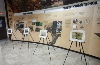 Фотовыставка "Заповедный объектив"  в Тисо-самшитовой роще