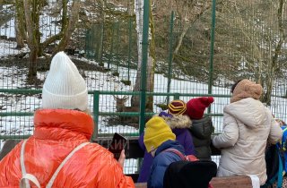 Талантливые дети Красной поляны вдохновляются заповедными историями о животных