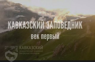 В рамках Дней науки в АГУ прошел показ  документального фильма «Кавказский заповедник. Век первый». Фильм был снят к 100-летнему юбилею Кавказского заповедника.