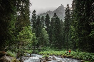 Фото Татьяна Лещинская