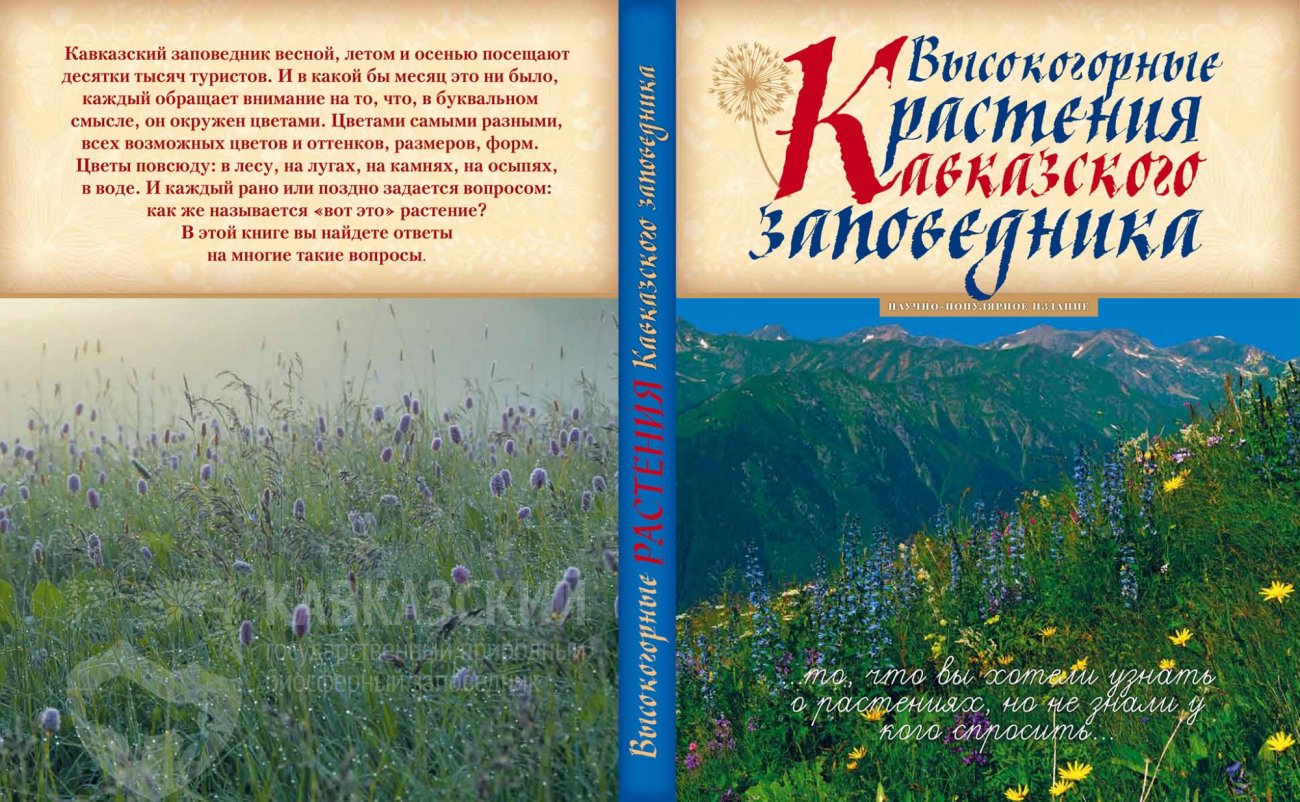 Кавказский заповедник и Курорт Красная Поляна выпустили новую книгу о  растениях Кавказа. | 03.03.2021 | Сочи - БезФормата