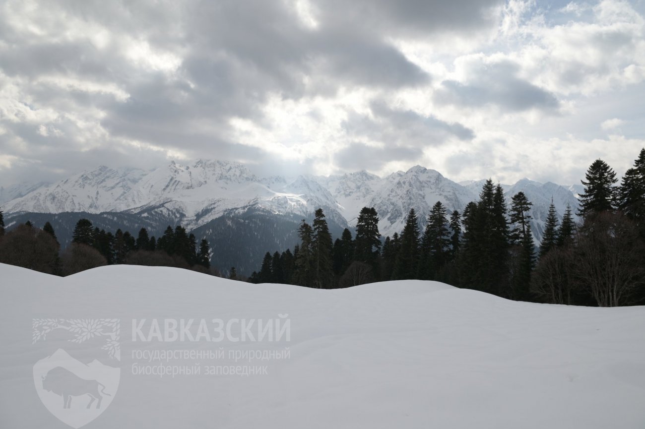 Кавказский заповедник Лагонаки панорама