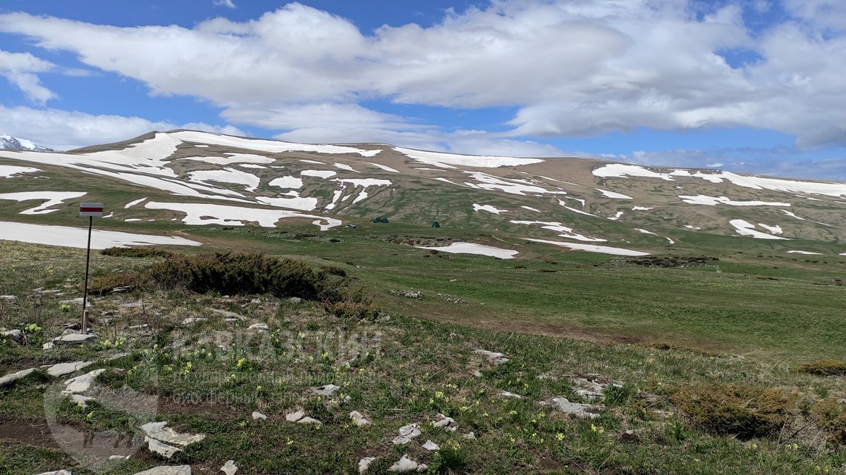 Кавказский заповедник кордон Лагонаки