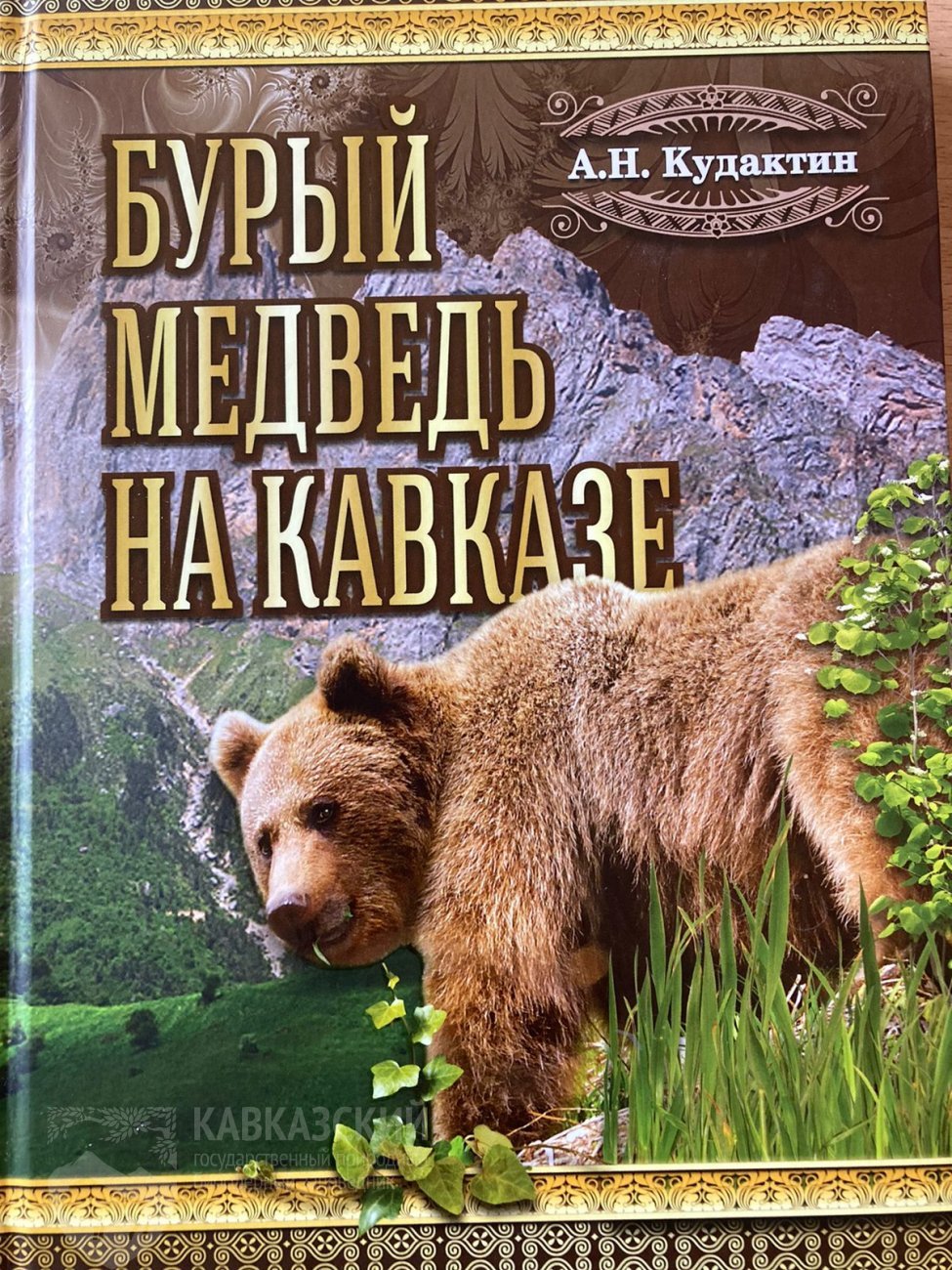 Бурый медведь на Кавказе”: вышла новая книга профессора А.Н.Кудактина |  28.09.2022 | Сочи - БезФормата