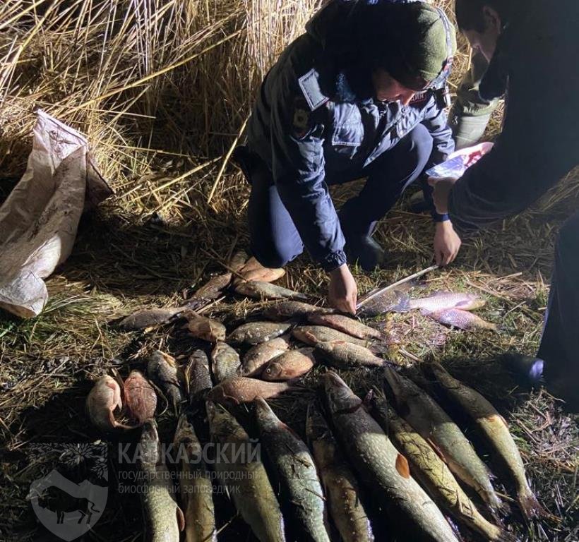 Погода приазовское запорожской. Сетка для рыбы. Рыба рыба сеть. Рыба в лодке.